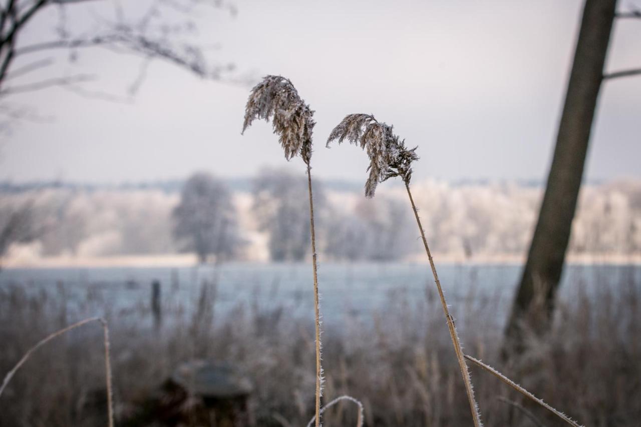 Mcdreyer Ferienwohnung Dedelstorf Bagian luar foto