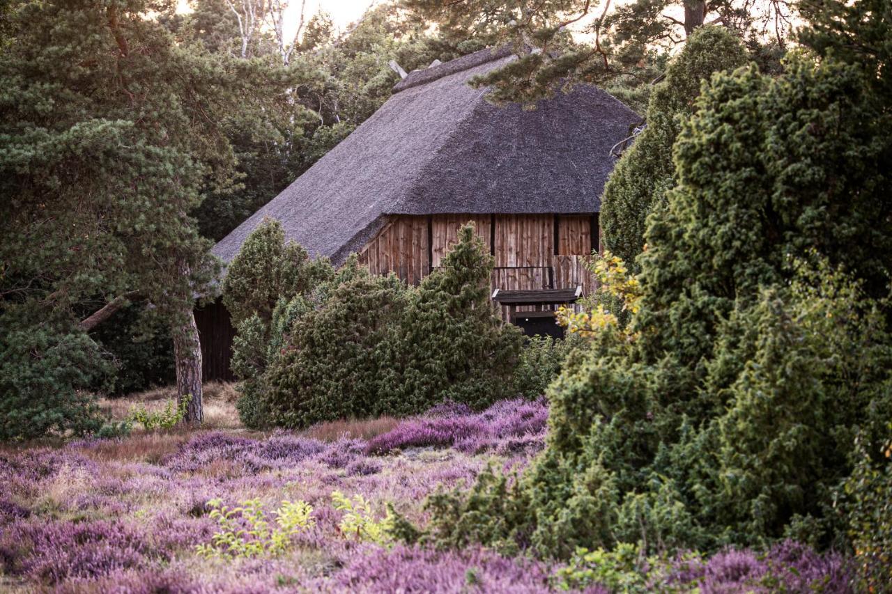 Mcdreyer Ferienwohnung Dedelstorf Bagian luar foto